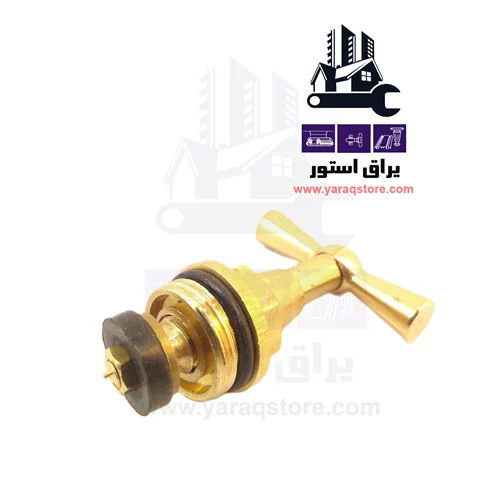 مغزی شیر حیاطی